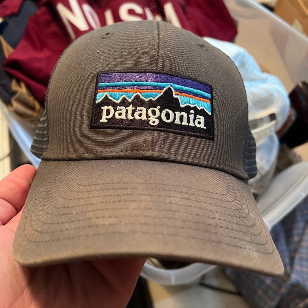 Patagonia Trucker Hat Gray